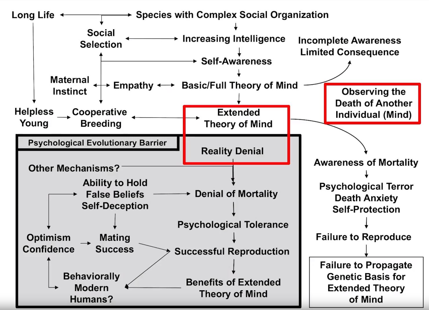 Mind Over Reality Transition (MORT)