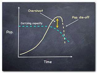 Carrying Capacity &amp; Overshoot