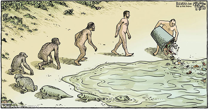 Bizarro.com on Evolution